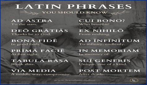 A Profile Of A Latin Beauty