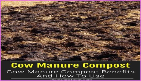 What is the NPK of composted cow manure?